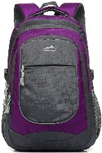 비즈니스 학생 여행 백팩 배낭 여행 컴팩트한 가방 노트북 최대 15.6인치 수납 Purple