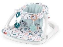 피셔프라이스 휴대용 아기 의자, 허리 지지대 바닥 좌석 의자 발달용 장난감 및 세탁기 세척 가능 좌석 패드 - Pacific Pebble